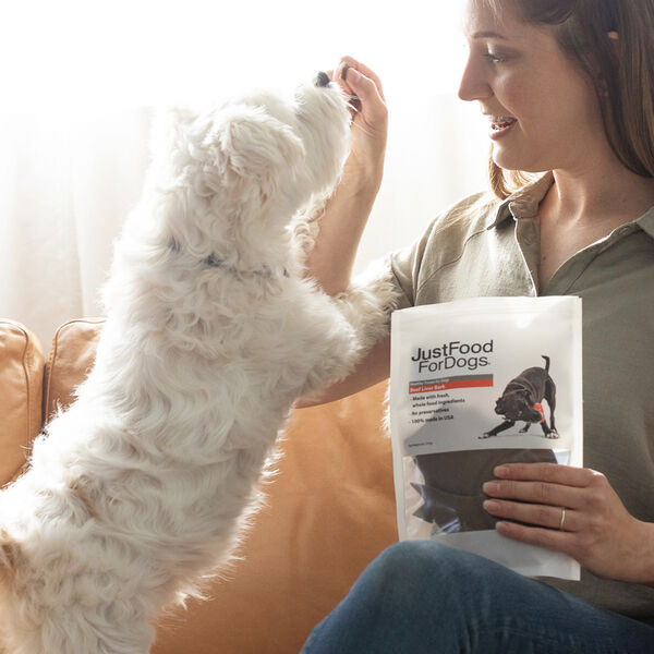 Beef Liver Bark Treat 5 oz